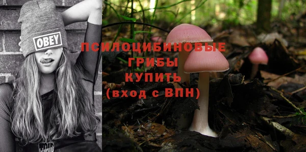 mix Аркадак