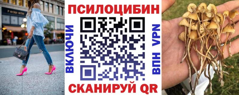 кракен онион  дарк нет состав  Галлюциногенные грибы GOLDEN TEACHER  Спас-Деменск 